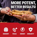 Korean Red Panax Ginseng - Energy, Endurance, Vitality, Performance, Immune Support